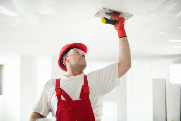 Environmental Consulting for Mold Prevention in Clovis, NM