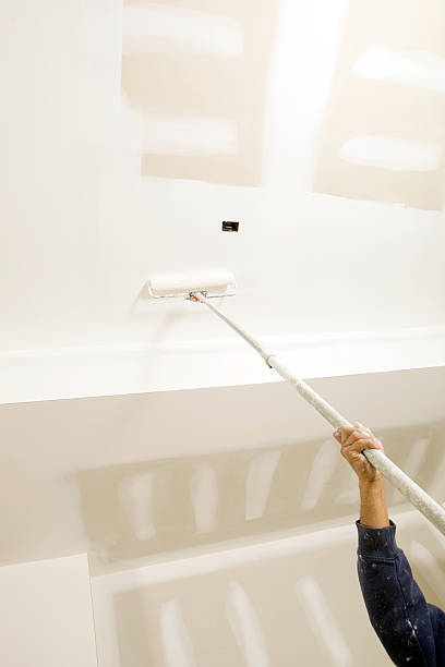 Best Post-Construction Mold Inspection  in Clovis, NM